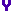 purple01_y.gif